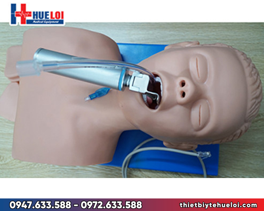 Mô hình đào tạo đặt ống nội khí quản